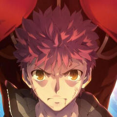 Fate series Fate series